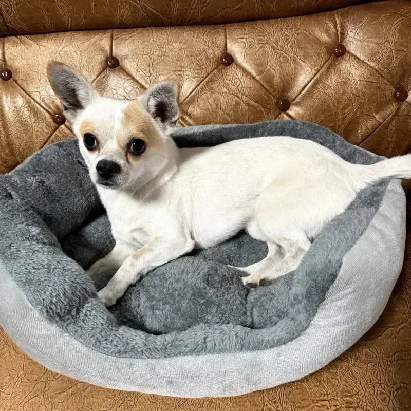 Very soft and warm dog bed