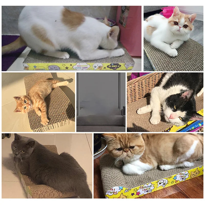 Cat scratching post