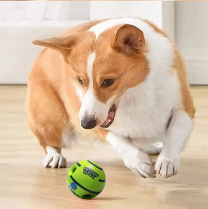 dog ball that rocks and swings