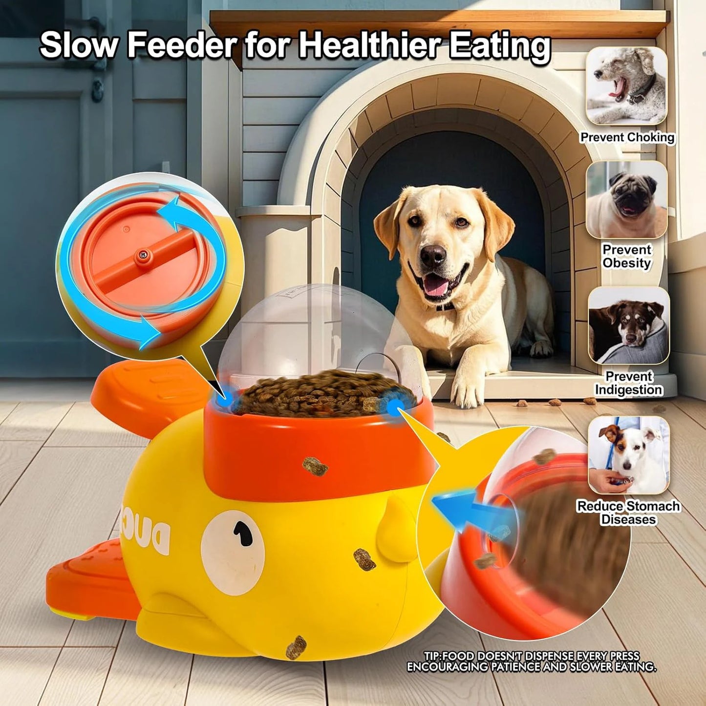 Automatic Snack Feeder Food Dispenser