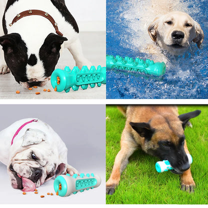 Dog Toothbrush Chew Toy