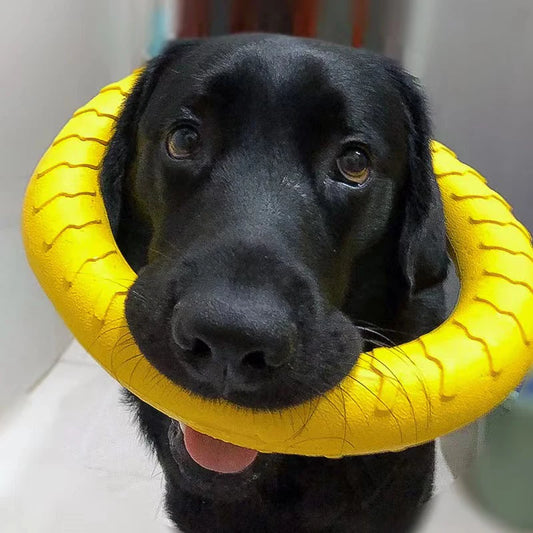 Dog Ring Toys