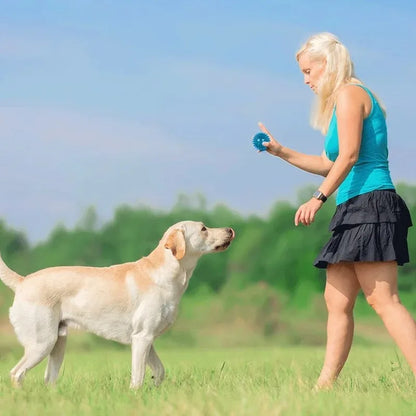 squeaky toy for puppies