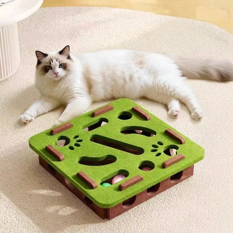 Cat puzzle