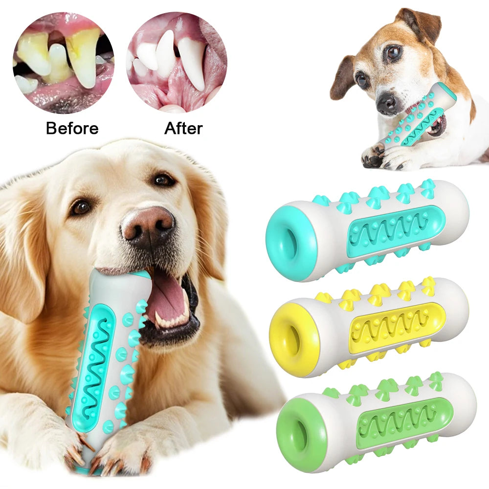 Dog Toothbrush Chew Toy