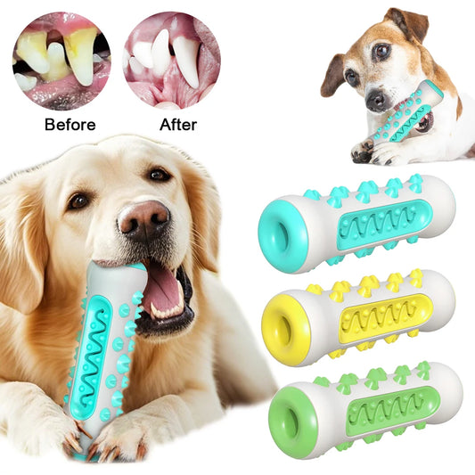 Dog Toothbrush Chew Toy