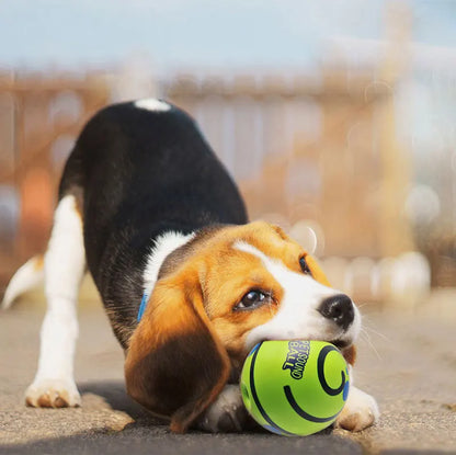 dog ball that rocks and swings