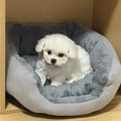 Very soft and warm dog bed