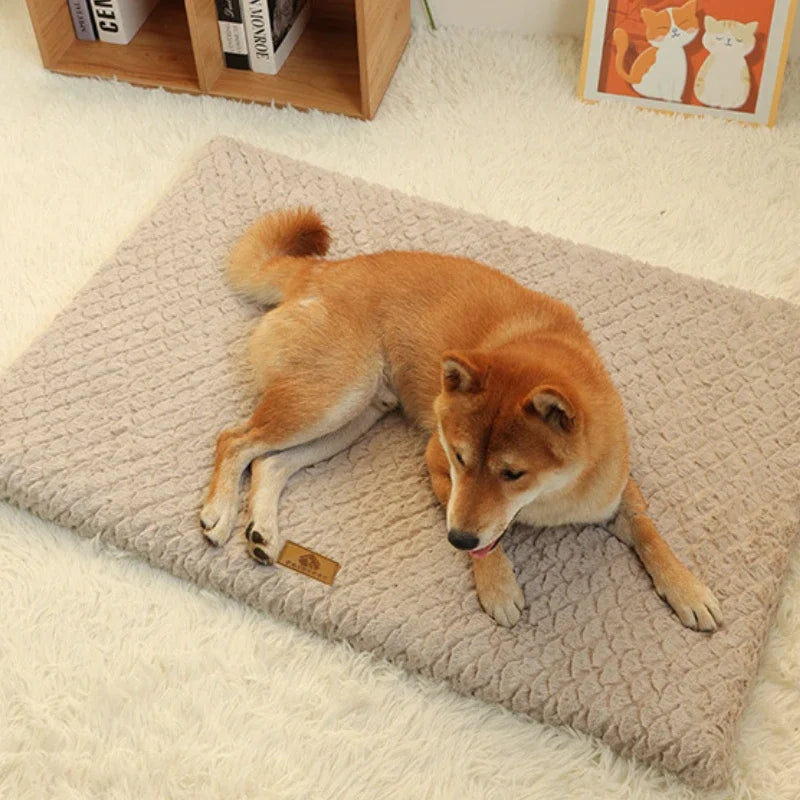 Foam Pet Bed, Removable and Washable Faux Fur, Waterproof Orthopedic Dog Bed,