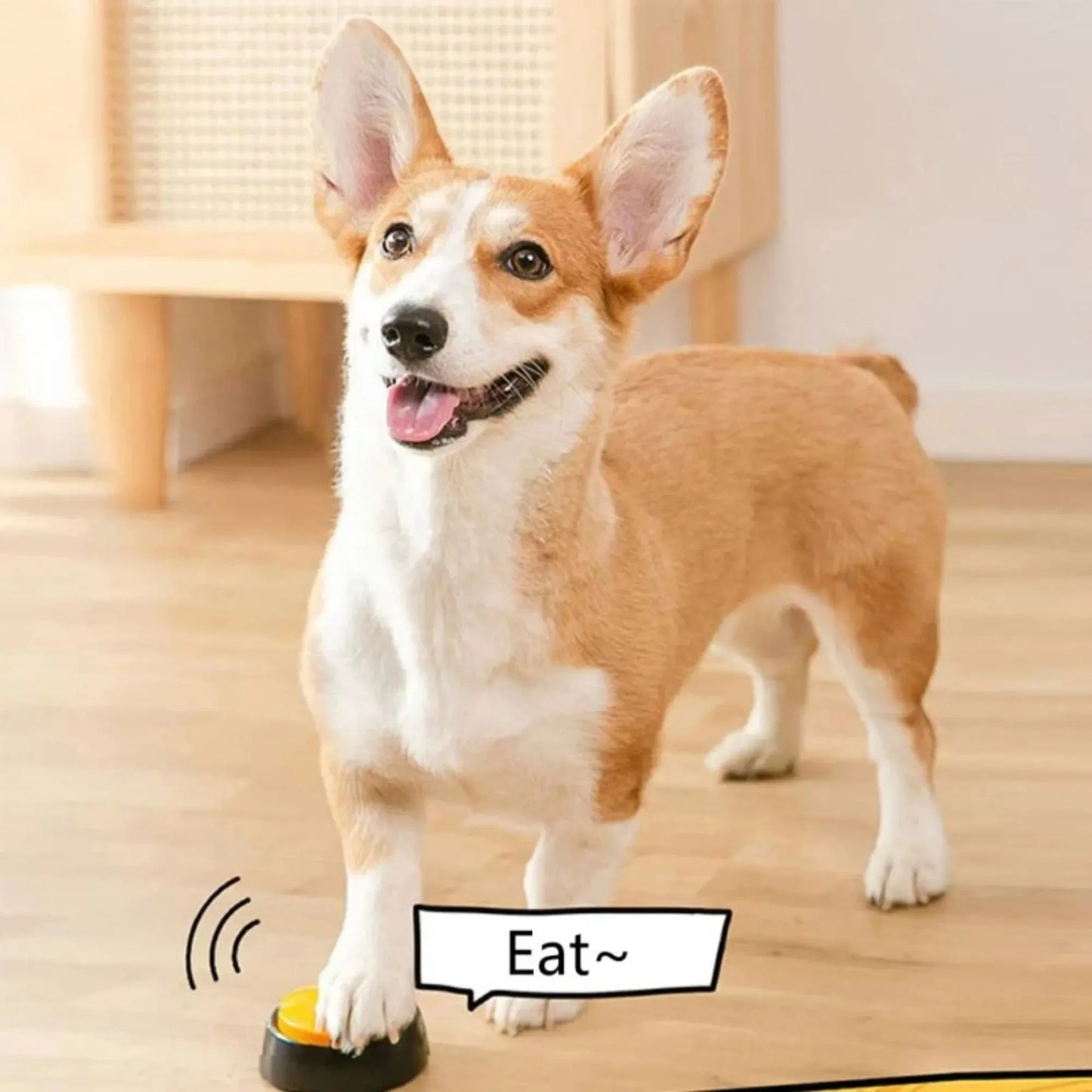Dog Communication Buttons Voice Recording Button