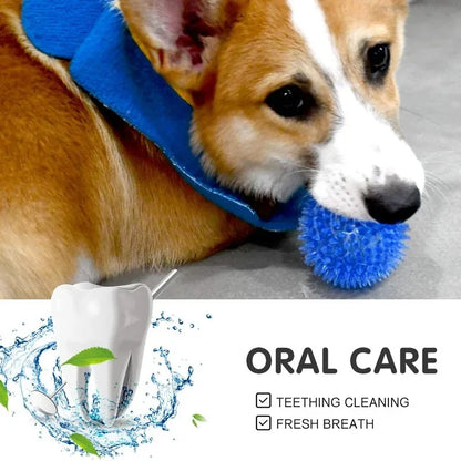 squeaky toy for puppies