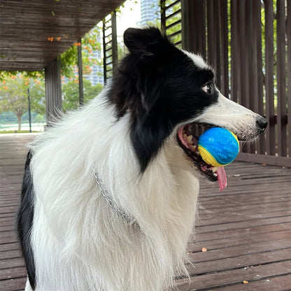 Interactive Squeaky Ball