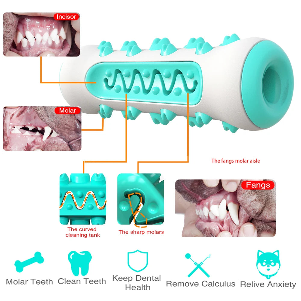 Dog Toothbrush Chew Toy