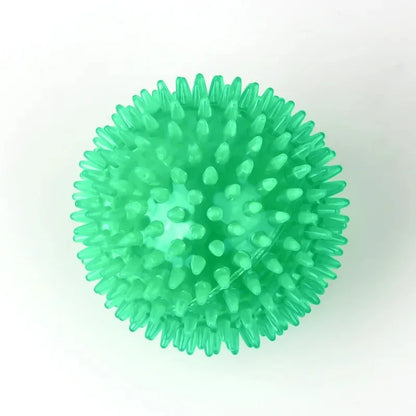 squeaky toy for puppies