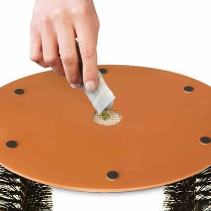 Arch Self Groome Cat Toy