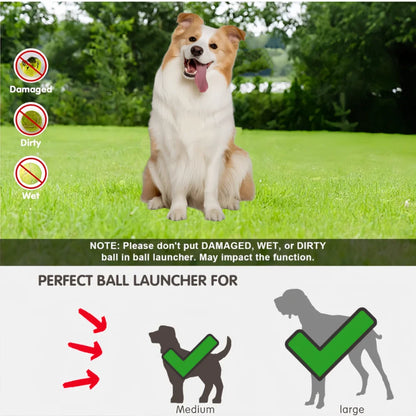 Automatic Dog Ball Launcher