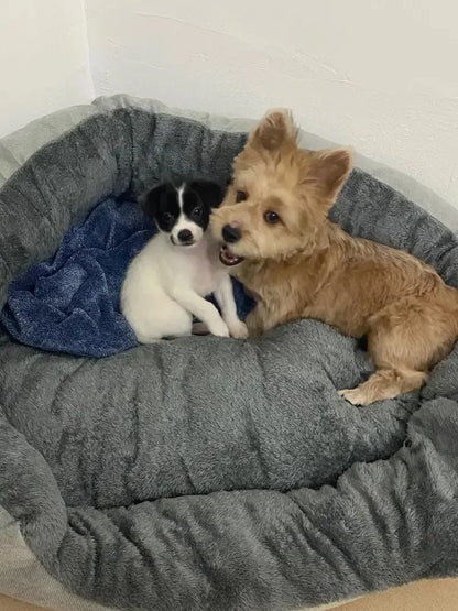 Very soft and warm dog bed