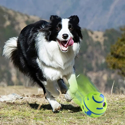 dog ball that rocks and swings