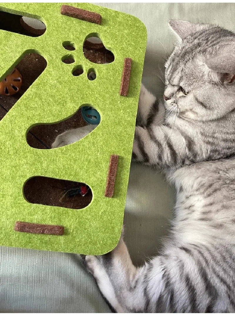 Cat puzzle