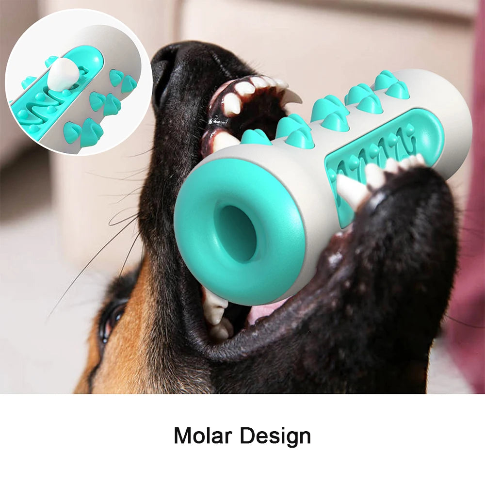 Dog Toothbrush Chew Toy