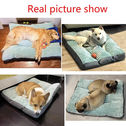 Warm winter bed for pet dogs