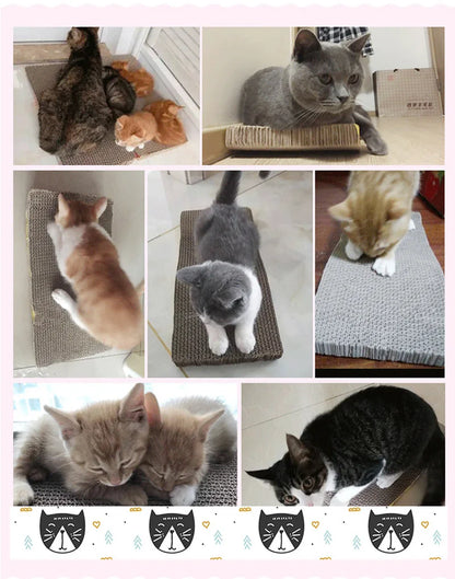 Cat scratching post