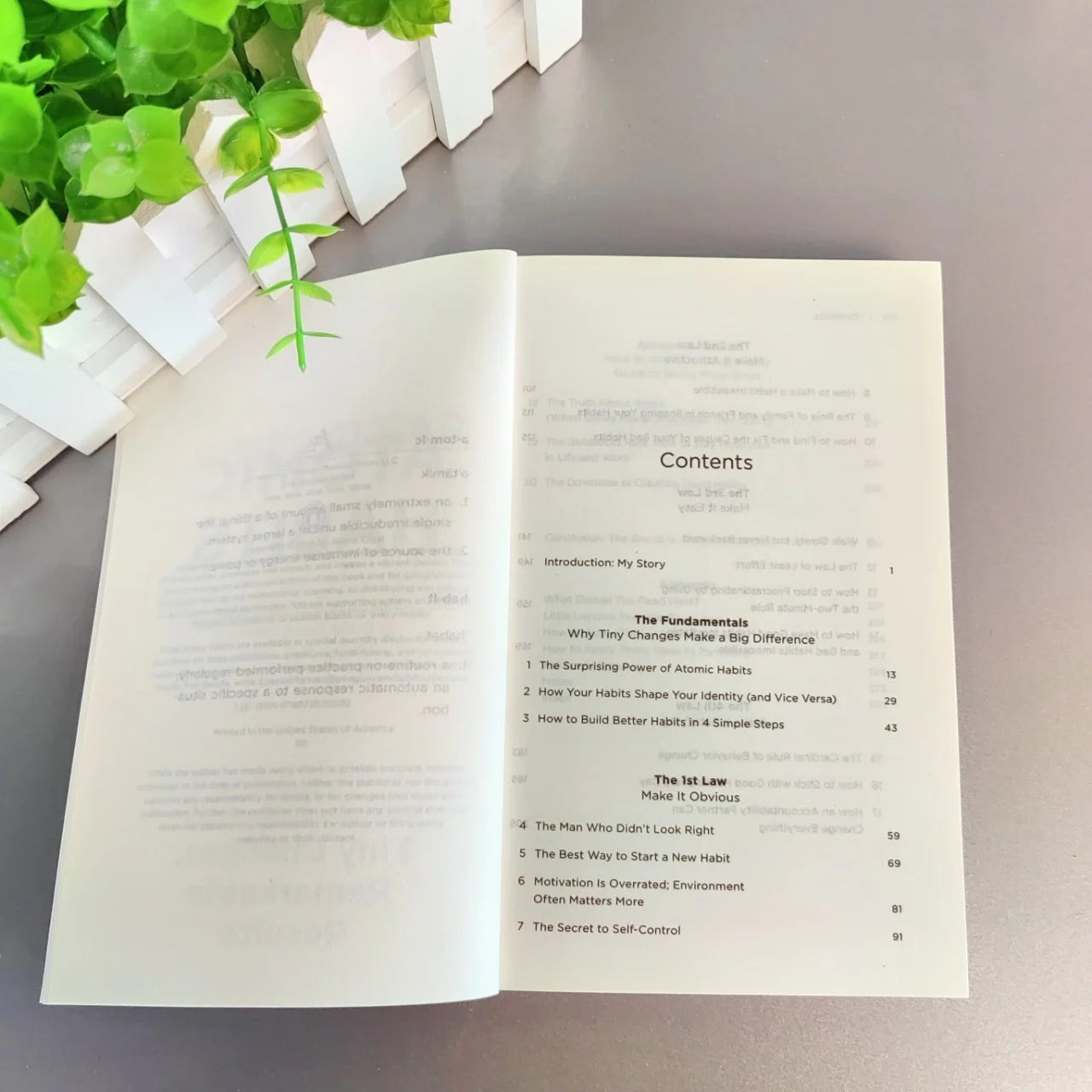 Bview Art Atomic Habits English Book: Master Daily Habits, Transform Your Life in 30 Days