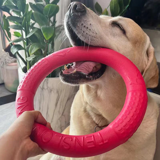 Indestructible Dog Ring Toys