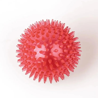 squeaky toy for puppies