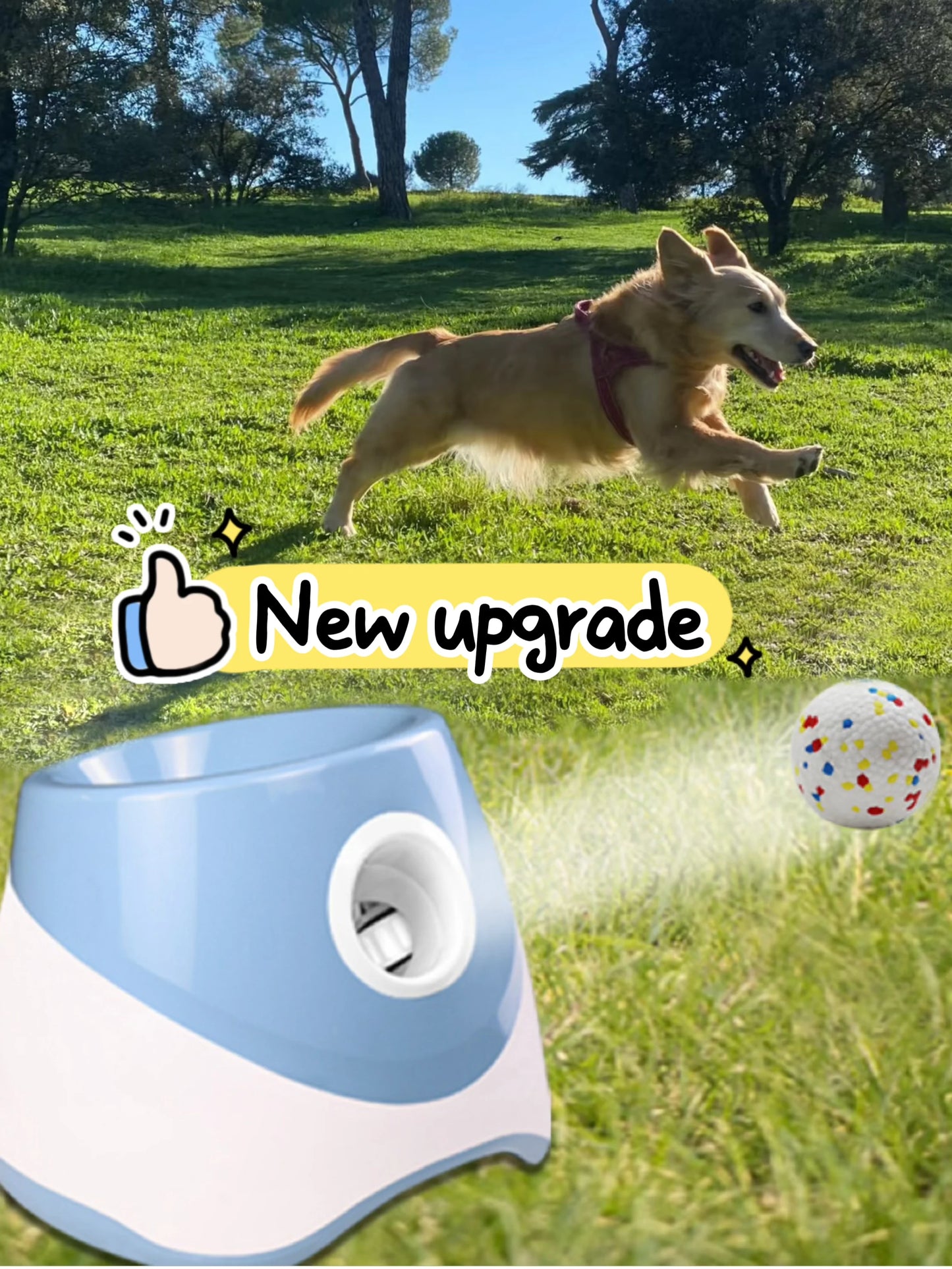 Automatic Dog Ball Launcher