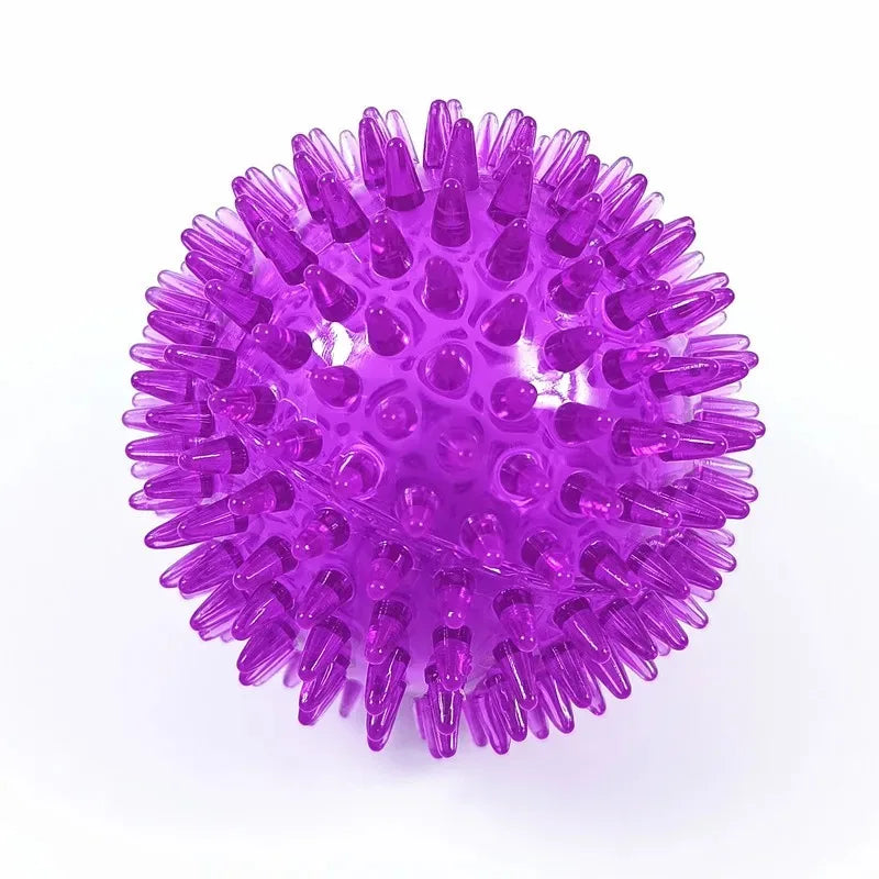 squeaky toy for puppies