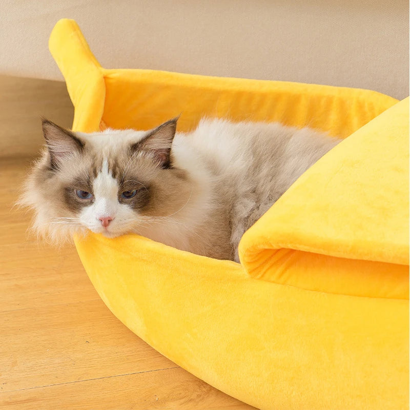 Banana cat bed, cute, funny, cozy.
