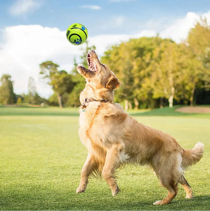 dog ball that rocks and swings