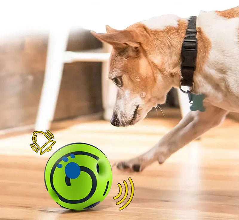 dog ball that rocks and swings