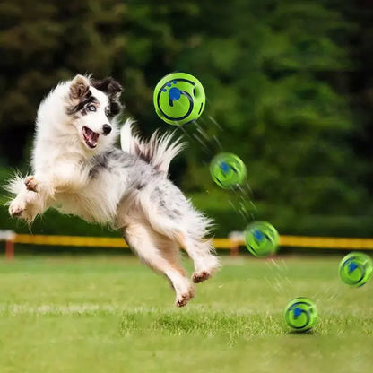 dog ball that rocks and swings
