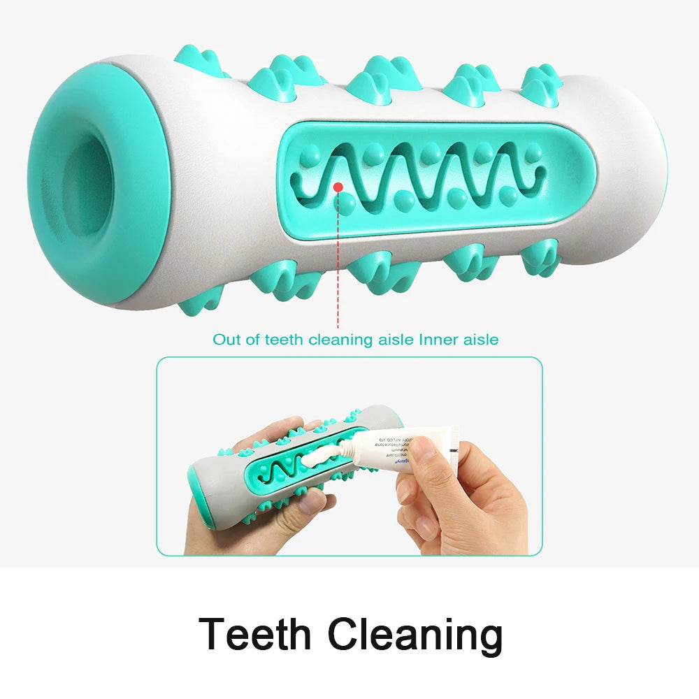 Dog Toothbrush Chew Toy