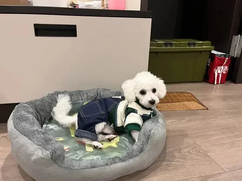 Very soft and warm dog bed