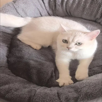 Very soft and warm dog bed