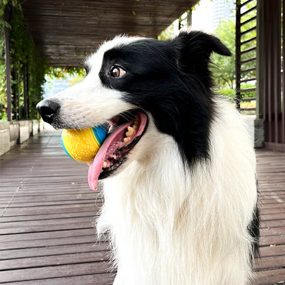 Interactive Squeaky Ball