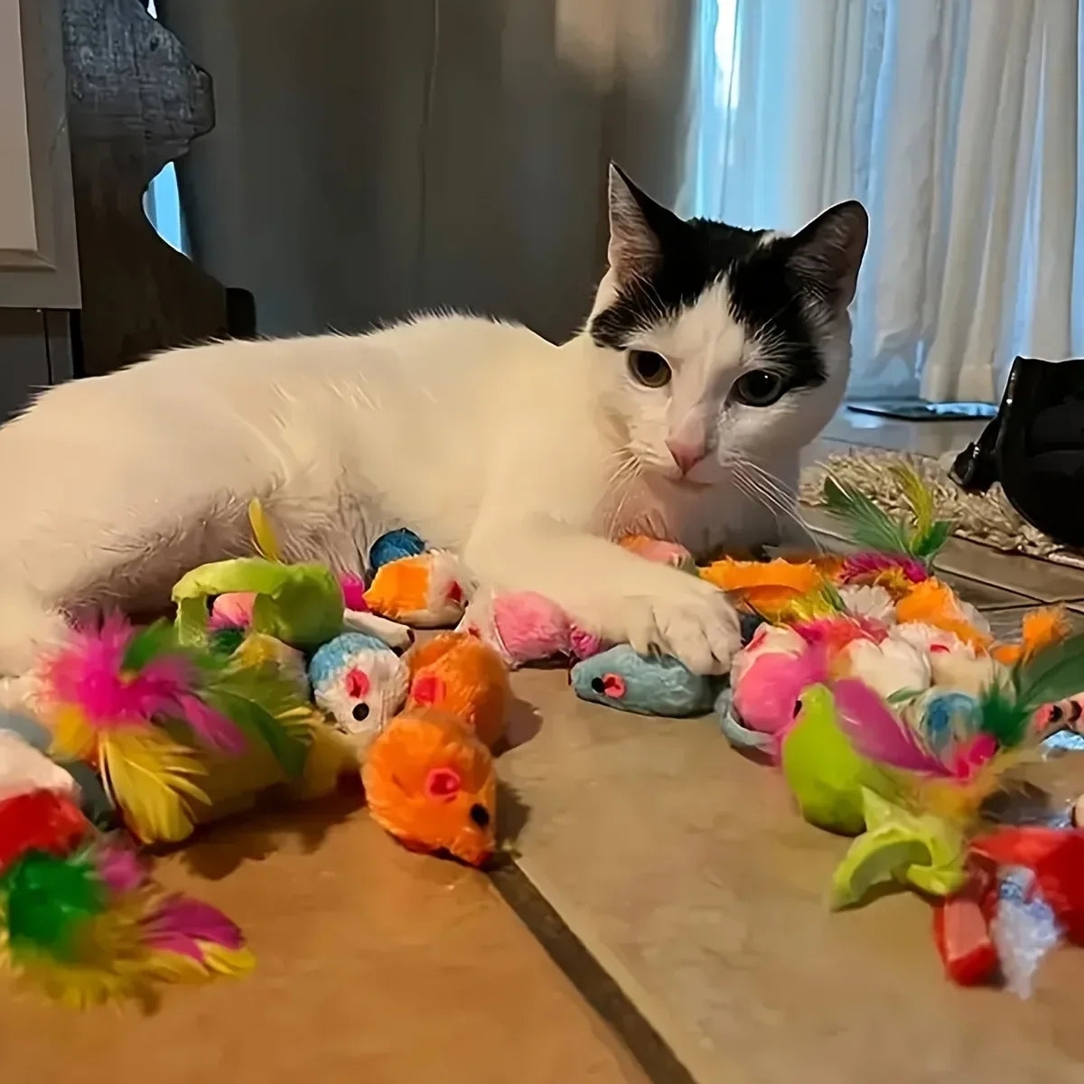 Mixed pack of 56/28/14 cat toys